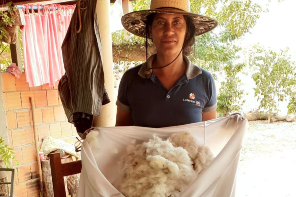 Plantando algodão e colhendo união no Elias Alves Cambauba Uruana de Minas (MG)