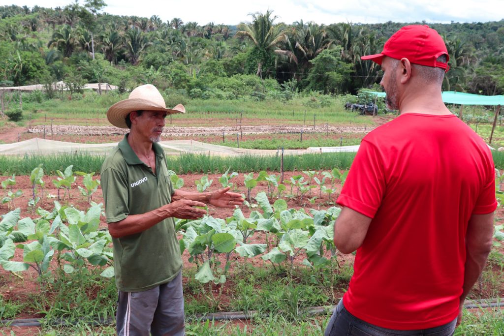 Cultivando Agroecologia e preservando saberes tradicionais no Cerrado Tocantinense