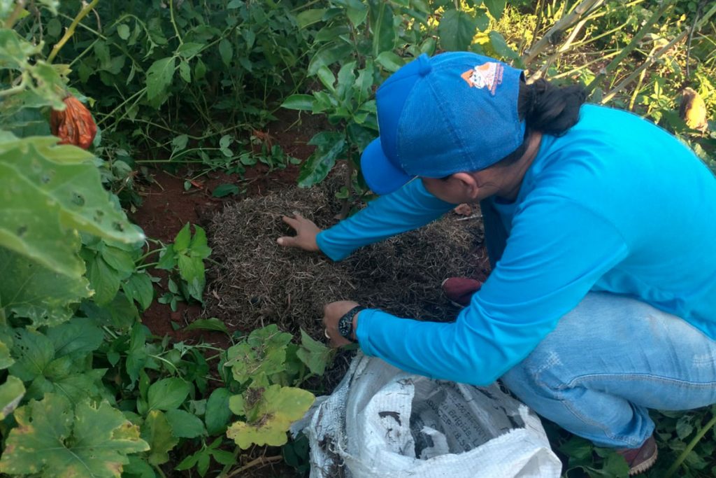 Projeto Terra Viva: agroecologia na recuperação ambiental e fortalecimento da agricultura camponesa