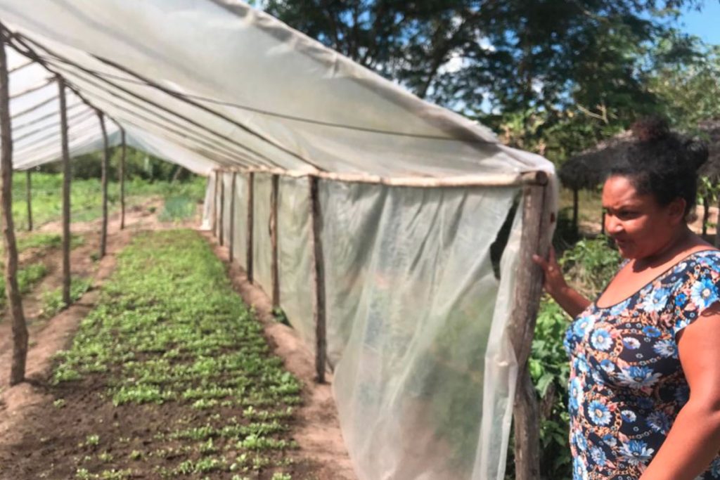 Modernização da produção agrícola e fortalecimento da renda familiar de mulheres quilombolas no município de Itapecuru-Mirim (MA)